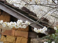 -广州市流溪河国家森林公园