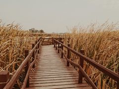 -西青郊野公园