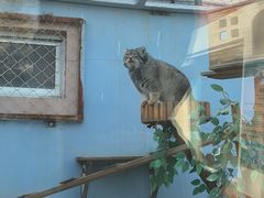 -青藏高原野生动物园
