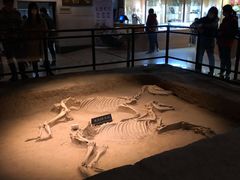 -洛阳周王城天子驾六博物馆