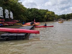 -上海海湾国家森林公园