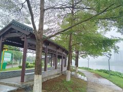 -飞来湖湿地公园