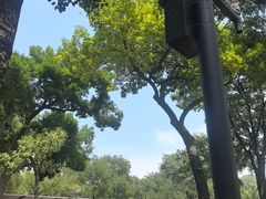 -中国农业博物馆