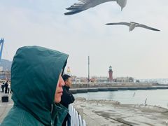 -星海湾跨海大桥