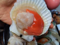 扇贝-丽江庭院之爱在路上(西单店)