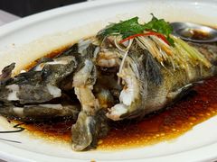 -荣粤酒家·融合粤菜