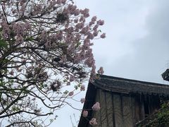 -乌镇景区