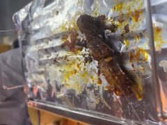 -喝丢一只鞋海鲜烧烤·海肠捞饭(文体街店)