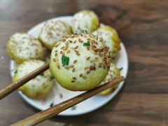-朱新年·苏式汤团·面点(北寺塔店)