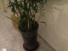 换洗室-沐王府水会(中欣广场店)