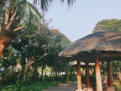 -中澳友谊花园