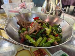 -东鸽皇(奥园·中环广场店)