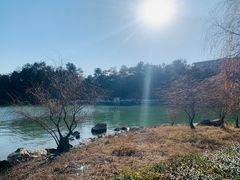 -天目湖涵田度假村