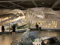 -南通博物苑-崇川人民公园