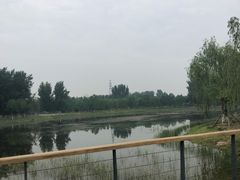 -东郊湿地公园