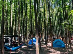 -山王坪喀斯特国家生态公园