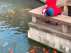 -绍兴大禹开元观堂-若耶厅