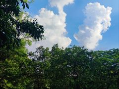 -火炉山森林公园