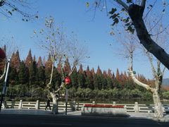 -井冈山风景名胜区