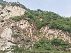 -王顺山国家森林公园