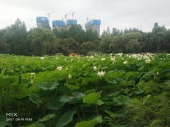-奇奇乐园电玩城(立丰国际购物广场店)