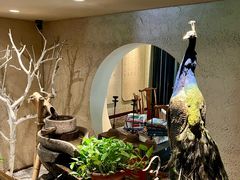 -龙井壹号·茶缘山景宴(龙井村店)