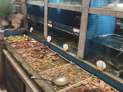 -码头鲜精致威海菜(欧乐坊店)