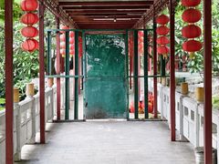 -荔湾湖公园