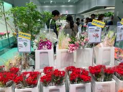 -盒马X会员店(上海森兰商都店)