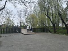 -上海滨江森林公园