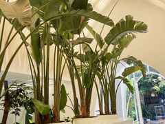 -云禾壹海景庄园餐厅