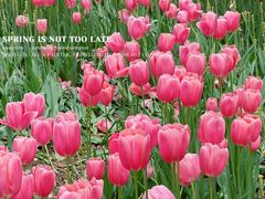 -北京植物园南门售票处