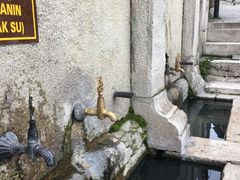 -萨夫兰博卢