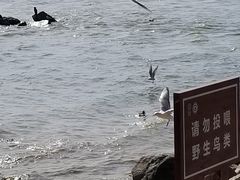 -深圳湾公园(南山区)