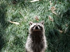 -云南野生动物园