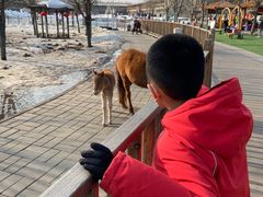 -北京鹿世界主题园