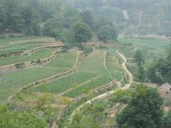 android_upload_pic-沕沕水生态风景区