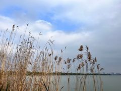 -漕湖湿地公园