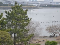 -台场海滨公园船码头
