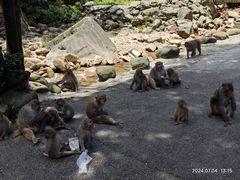 -姑婆山旅游区