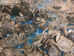 -绿岛港轩海鲜烤肉涮锅自助餐厅
