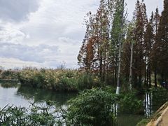 -捞渔河湿地公园