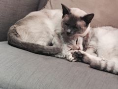 -MIKAKU(万达广场上海宝山店)