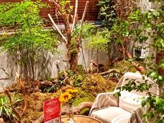 -森SPA·泰式按摩·精油Massage(宝安中心店)