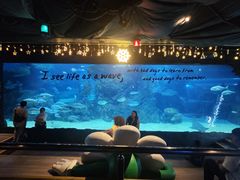 -暹罗海洋世界