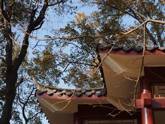 -广州市石门国家森林公园