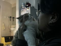 -小猫来了·猫舍(红山六九七九店)