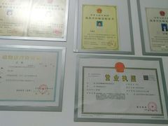 -宠福鑫康馨动物医院·骨科·眼科