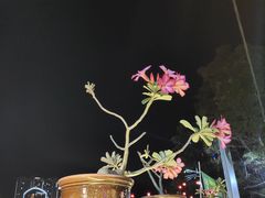 -马六甲娘惹村