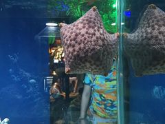 -太平洋海底世界